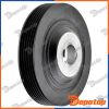 Poulie damper vilebrequin pour RENAULT | RKP-RE-005, 1004